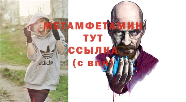 индика Верхний Тагил